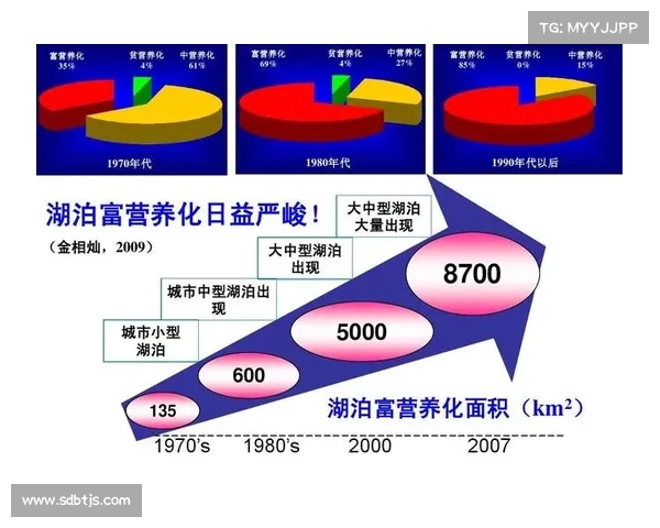 网球比赛中的非受迫性失误分析及其对比赛结果的影响 网球比赛中的非受迫性失误分析及其对比赛结果的影响
