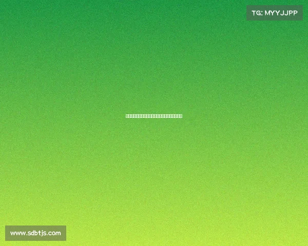 海登海姆足球俱乐部历史回顾与德甲崛起之路分析